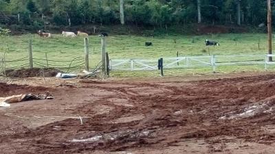 Geadas sÃ£o registradas na regiÃ£o de Laranjeiras do Sul nesta segunda-feira (19/06)